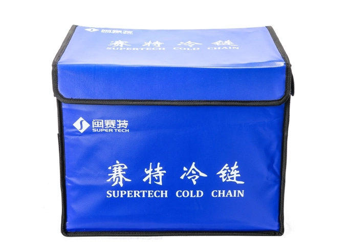 collapsible insulated tote bag