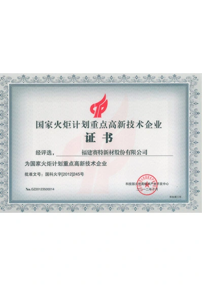 key high tech enterprises under the national torch program