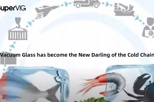 Vacuum Glass has become the New Darling of the Cold Chain?